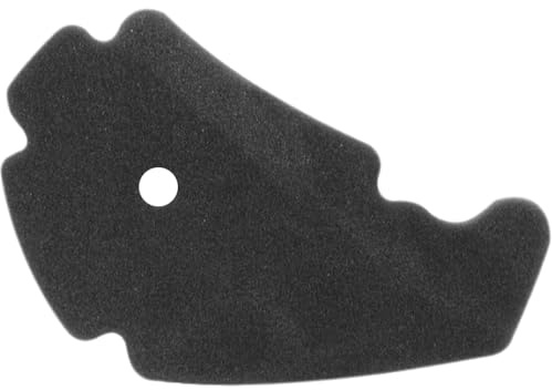 cyclingcolors 1x Filtro Aria in Schiuma Compatibile con PIAGGIO BEVERLY 125-200-250-300-400-500CCfiltro motore scooter moto air box carburatore filtrazione