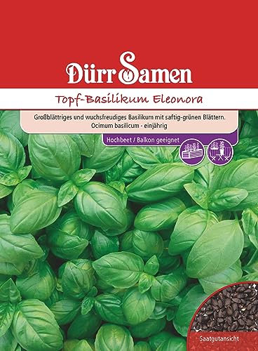 Topf Basilikum Samen Eleonora Basilikumsamen ca 150 Korn Küchenkräuter Kräutersamen Saatgut Balkon Garten Hochbeet Kübel Dürr Samen