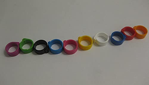 BTV 100 Taubenringe Kükenringe Hühneringe 8mm in 10 Farben Made in Germany