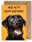 Lustige Geburtstagskarte Hund – Witzige Klappkarte DIN A6 „WIE ALT?! Happy Birthday“ – Humorvolle Grußkarte mit Umschlag für Männer, Frauen, Freunde & Kolleginnen