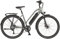 Prophete E-Bike Entdecker, Elektrofahrrad mit 8 Gang Shimano Altus Schaltwerk, Kettenschaltung, Blaupunkt Akku, Heckmotor 250 W, grau