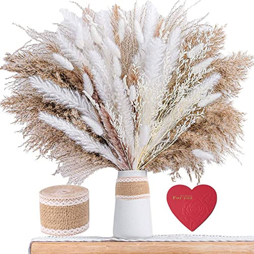 HJQ Getrocknetes Pampasgras, 80-teiliges Set natürlicher getrockneter Blumen, Pampasgras mit flauschigem Wedel, Twine und Grußkarten, Getrockneter Blumenstrauß für Blumenarrangements & Heimdekoration