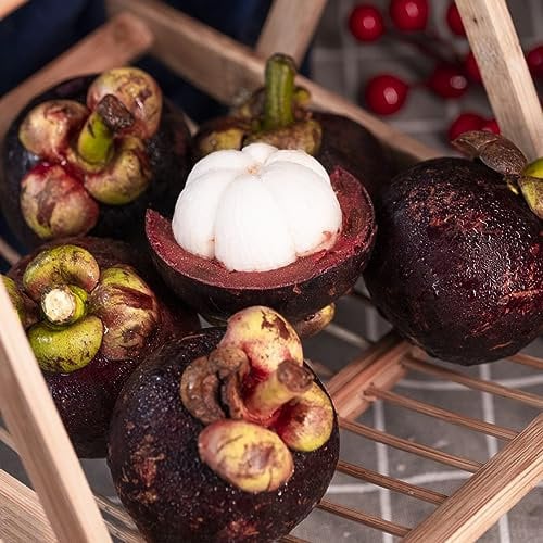 20 pcs Mangostan Frucht Samen, grünpflanzen zimmerpflanzen, saatgut alte sorten (Garcinia mangostana) bonsai samen, exotische pflanzen samen samen obst, zimmergewächshaus säulen obstbäume,