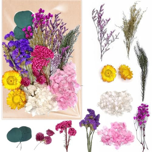 RT Fiori Secchi per Resina e Candele - Set Decorativo per Epossidica, Artigianato, Scrapbooking, Decorazioni Floreali