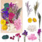 RT Set für Kunst DIY Harz Scrapbooking Handwerk Karten Machen, Getrocknete Blumen, Trockenblumen Zum Basteln, Trockenblumen Klein,trockenblumenstrauß,blumen zum basteln
