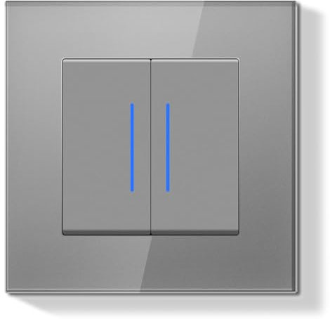 BSEEDLIFE Interrupteur Mural,Interrupteur Encastrable avec Indicateur LED avec Cristal Cadre en Verre,Installation Facile,2 Gang 2 Voies 86 * 86mm Gris