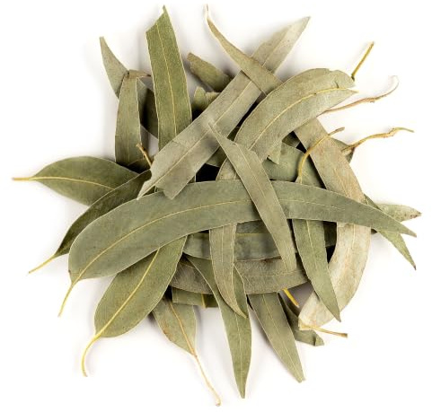 Feuilles d'Eucalyptus Séchées Bio - Tisane Feuilles Entières | à l'arôme mentholé intense parfait pour vos infusions vivifiantes