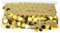 Bauchtanz-Hüfttuch, 10 Yards Rock Quaste Gürtel Taillenkette mit Pailletten, Rundes Hüfttuch in Münzform, National Dance Clothe Supplies Zubehör für Performance Dance Yoga Belly Dance Belt (Gold)