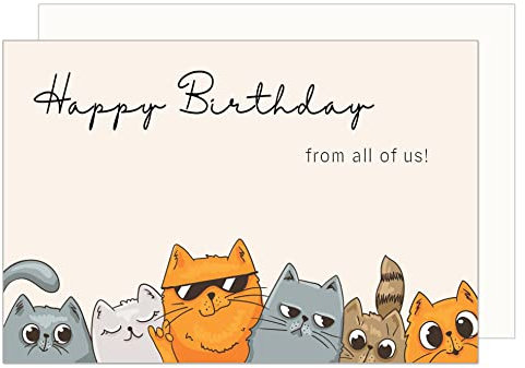 Edition Seidel Premium Geburtstagskarte mit Umschlag. Glückwunschkarte Billet Happy Birthday Humor Lustig cool Mann Frau Junge Mädchen Teenager Kids coole Katzen (G3467 SW023)