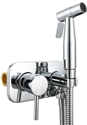 Tecmolog Kit Douchette Toilette WC Mural en Acier Inoxydable avec Flexible et Support, Eau Chaude et Froide, Chromé, WS024DF1