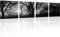 Kunstlab Bäume Herbst Jahreszeiten Landschaft Wandbilder auf Leinwand Besser als Poster - 180x45 cm 4-Teilig: Schwarz-Weiss
