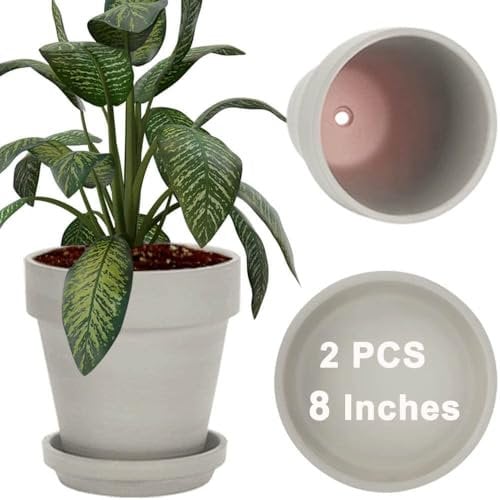 vensovo 20CM Gray Terracotta Pot for with Drainage - 2 Pack Large Terra Cotta Plant Pot with Saucers, Flower Clay Pot with Tray, Terracotta Pot for Indoor Outdoor