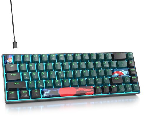 SOLIDEE 65% Mechanical Gaming Keyboard,68 Keys with Linear Red Switches,Wired Mechanical Keyboard with Ice Blue Light LED Backlit,Compact Ergonomic Keyboard for PS5/PS4/Xbox Gamer(68 Soundwave)