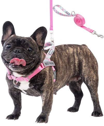 Wuffley Anti-Zug Hundegeschirr mit Leine, Hundegeschirr Kleine Mittelgroße Hunde, Geschirr Hund mit Griff und 2 Aufnähern, Reflektierendes, Leichtes Brustgeschirr Hund für Outdoor-Training(Rosa,S