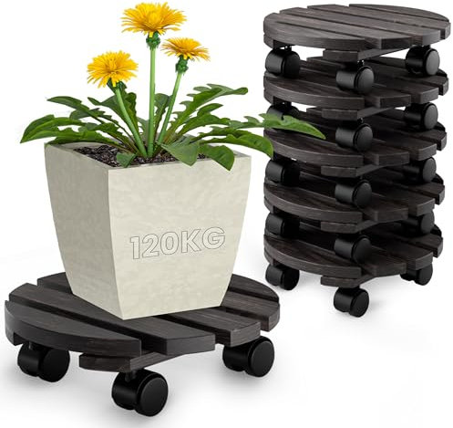 Oramics 6 Stück Pflanzenroller Rund aus Massivholz in Schwarz – Ø30 x 8 cm bis 120 KG belastbar – Rollbrett für Pflanzen, Blumentöpfe und Blumenkübel – Blumentopf Untersetzer mit 4 Rollen