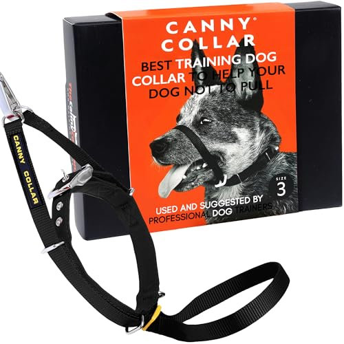 Canny Collar – Collare a Cavezza Addestramento Cane | Collare Anti‑Tiro Gentile e Sicuro | Camminate Piacevoli Senza Stress – Nero, Taglia 3