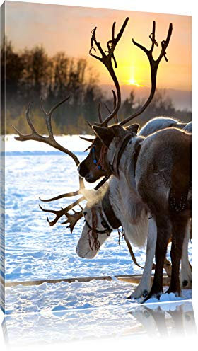 Pixxprint Zwei Rentiere im Schnee, Größe: 80x60cm, Leinwandbild, fertig gespannt, Wandbild, Dekoration, Kunstdruck, kein Poster