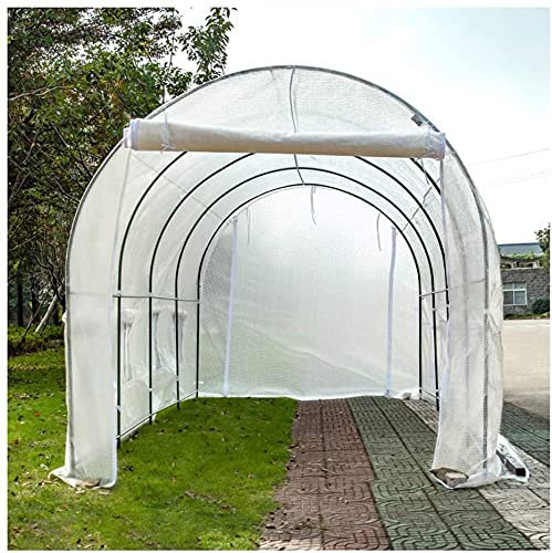 Treibhaus Foliengewächshaus Walk in Garden Gewächshaus mit Regalen Green House Grow House Abnehmbare Abdeckung Heavy Duty PE Hot House, wasserdicht LSDRALOBBEB 807(Color:White)