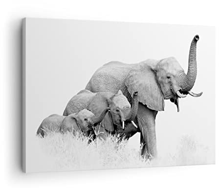 Bilder auf Leinwand Elefanten Familie Schwarz und Weiß Leinwandbild 70x50cm Wandbilder Dekoration Wohnzimmer Schlafzimmer Deko Klein Wanddeko Bild Wand Kunstdruck Art Wall Decor Canvas AA70x50-4374
