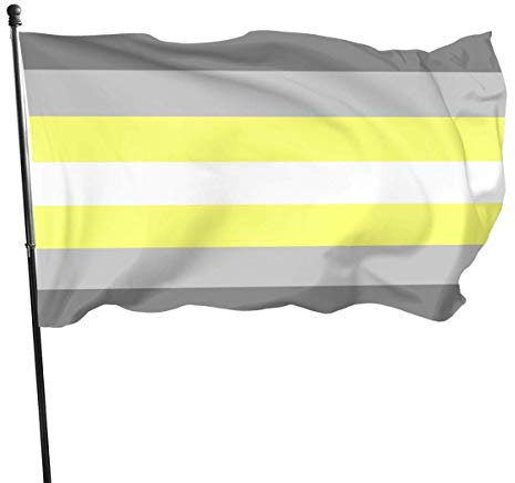 Hofflagge, Banner, Deminonbinär-Demi-Gender-Pride-Flagge, Thema, Willkommens-Party, Outdoor-Dekoration, Ornament, Picks, Haus, Garten, Hof, Dekoration, 90 x 152 cm