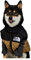 Hunde-Daunenjacke aus Polyester, gepolstert, warm und winddicht, für kleine und mittelgroße Haustiere, Größe S - 5XL (5XL)