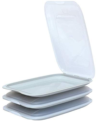 Design 3X Aufschnittboxen/Frischhalteboxen/Frischhaltedose stapelbar in der Farbe Grau geeignet für Aufschnitt wie Wurst und Käse und vieles mehr in der Größe 25x17x3.3cm