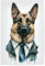 artboxONE Poster 150x100 cm Tiere Schäferhund als Geschäftshund - Bild Tier Deutscher schäferhund ernst
