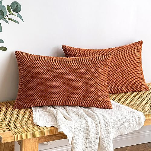 EMEMA Kordsamt Kissenbezug Herbst Dekorative Granulat Sofakissen Dekokissen Kissenbezüge Kissenhülle Couchkissen Überwurf Kissen Bezug Zierkissen für Couch Sofa Wohnzimmer 2er Set 30x50 cm Karamell