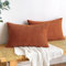 EMEMA Kordsamt Kissenbezug Herbst Dekorative Granulat Sofakissen Dekokissen Kissenbezüge Kissenhülle Couchkissen Überwurf Kissen Bezug Zierkissen für Couch Sofa Wohnzimmer 2er Set 30x50 cm Karamell