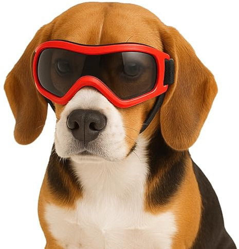 Fohuanky Hundebrille für kleine und mittelgroße Rassen, verstellbare Haustier-Sonnenbrille mit UV-Schutz, Hundebrille für Reisen, Wandern, Outdoor-Spaß (Rot, M)