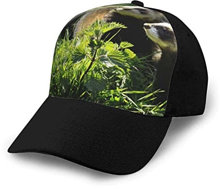Knäufe für Küchenschränke, 4 Stück, ABS-Glas, Schrankknöpfe, schwere Knäufe, Küchenzubehör für Badezimmer, Schublade, farbige Blumen