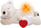 ALL FOR PAWS Kuscheltier für Hunde, Welpenspielzeug Hunde Herzschlag Plüschtier Welpe Verhaltenshilfe Plüschtier Haustier Plüschtier… (Warm Bear(One Heartbeat +One Warmbag))