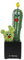Figur James Rizzi -Prickly Pair Pop Art