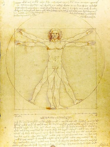 KUSTOM ART Dekoratives Wandposter Serie Berühmte Maler Leonardo da Vinci Vitruvianischer Mann Kunstdruck auf beschichtetem Papier 40x30 cm ohne Rahmen