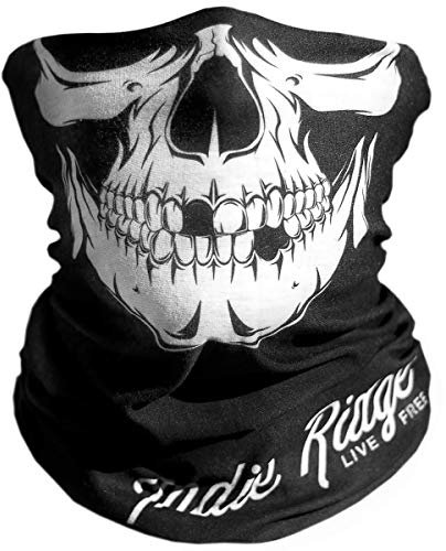 Indie Ridge Masque de moto en forme de tête de mort – Masque d'hiver pour le ski, le snowboard