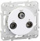 Schneider Electric S520461 - Toma ODACE TV/SAT/FM, color blanco