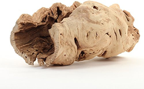 Koyal Wholesale Rama de Madera de UVA Hueca de 10 Pulgadas, jarrón de Centro de Mesa, Plantas de Aire, decoración de Bricolaje