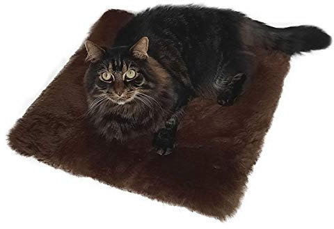 Hollert Lammfell Katzenkissen Braun Katzenbett 45x45 cm echtes Merino Schaffell Kissen Tierbett