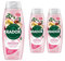 Radox Mineral Therapy Feel Indulged Shower Gel Body Wash, Pack of 3, Shower Cream with 4 minerals and 13 herbs, Passionfruit and Shea scent for a Mood-Boosting Experience, 450 ml