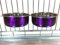 Ellie-Bo Pair of Dog Bowls For Crates, Cages or Pens and 3 Sizes (0.9Ltr Medium, Purple)