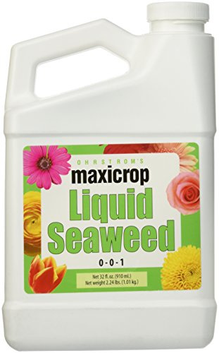 Maxicrop Engrais Liquide Algues QT