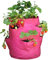 Tierra Garden Haxnicks Pot de Fleurs, Rose, 35x35x45 cm