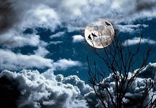 1art1 Gothic Die DREI Raben Bei Vollmond, 3-Teilig Fototapete Poster-Tapete 360x250 cm
