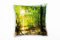 Paul Sinus Art Frühling, Sonnenschein, Wald, grün, braun Deko Kissen 40x40cm für Couch Sofa Lounge Zierkissen - Dekoration zum Wohlfühlen