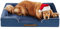 Codi Extra großes Hundebett aus Memory-Schaum, waschbar, orthopädisches Hundebett mit abnehmbarem Reißverschlussbezug, wasserdichtes Hundebett, Sofa, Bett, Marineblau, 106 x 81 x 8,9 cm