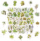 50PCS Green Leaves Mini Boxes Stickers,Green Leaves Theme Stickers for Scrapbooking, DIY Crafts, Laptops,Journal,Gifts for Kids Teens Girls Adults