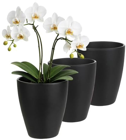 Annastore 3 x Orchideentopf aus Keramik Ø 13,5 cm x 17 cm – mit Erhöhung | für optimale Belüftung, Übertopf für Orchideen, langlebig & stilvoll, Blumentopf für Innenbereich