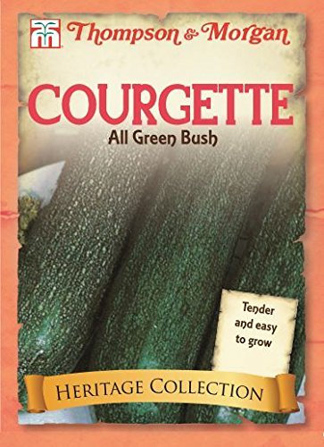 Thompson & Morgan - Heritage Vegetables - Courgette (Zucchini) All Green Bush - 25 Seed