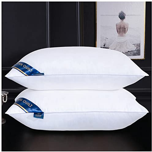 MISSMAO Oreiller 48x74 Lot de 2 pour Le Lit Coussins pour Dormir et Décoratifs Antiallergiques Anti-Acariens et Rafraichissant Rectangulaire Oreillers de Lit,Blanc,48x74cm(700g)