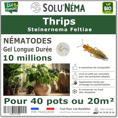 SOLUNEMA - Nématodes Contre les Thrips 10 Millions Longue Durée